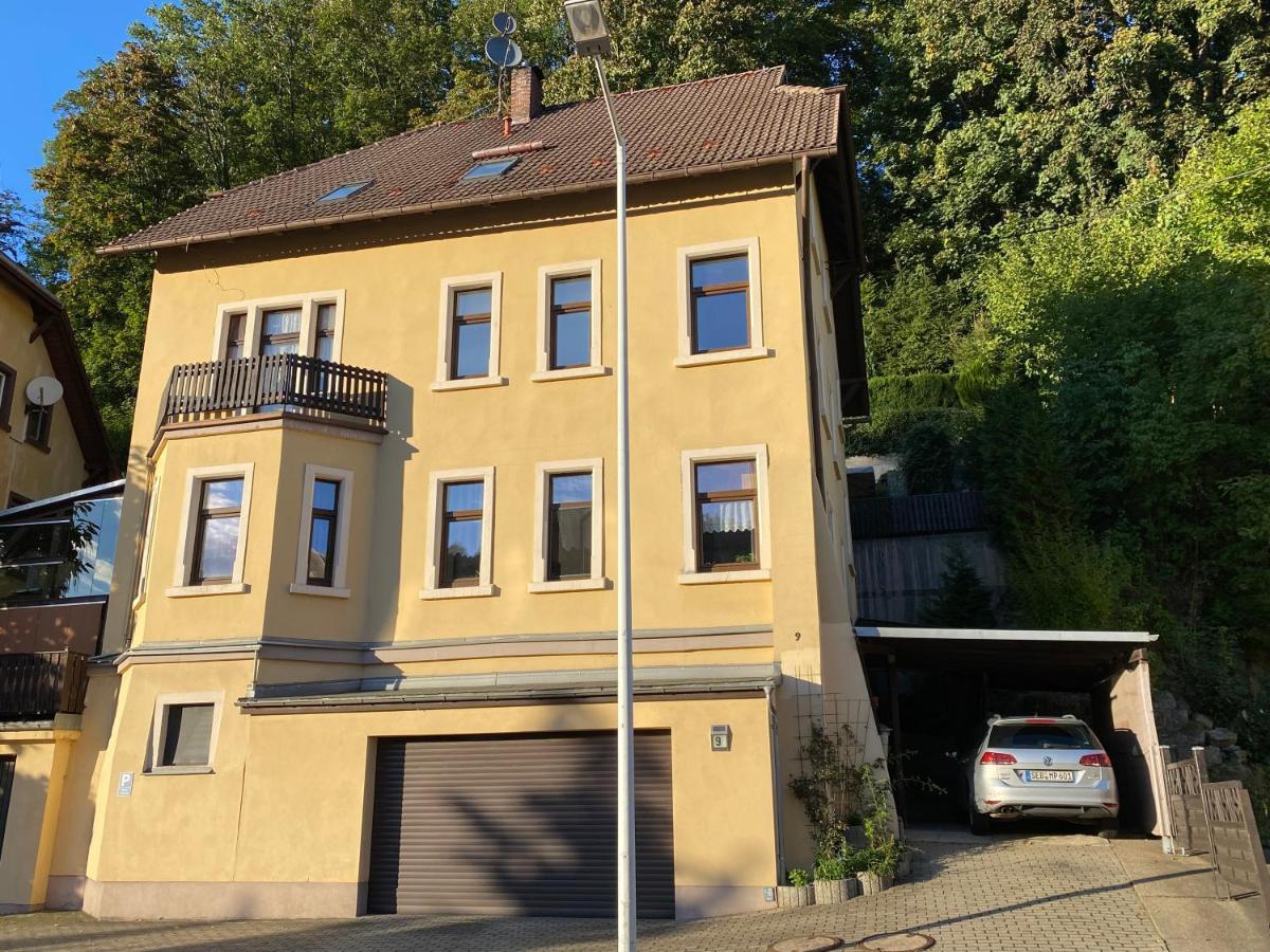 Waldblickwohnung Mit Schoener Terrasse Und Kamin Sebnitz Buitenkant foto